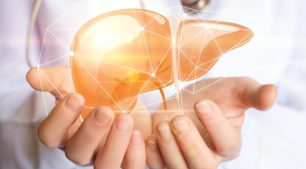 Fatty liver: why do not neglect Fatty liver: why do not neglect
