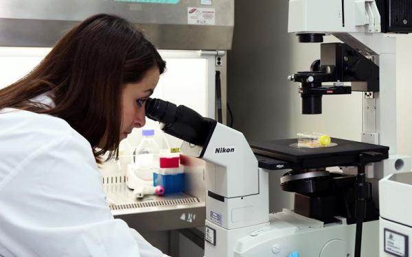 Nanomedicine in treating neurodegenerative diseases such as Alzheimer’s Nanomedicine in treating neurodegenerative diseases such as Alzheimer’s