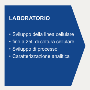 laboratorio