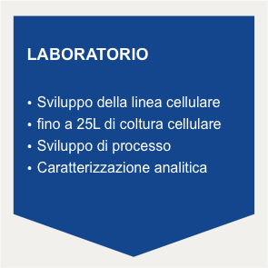 laboratorio