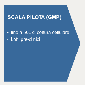 scala pilota