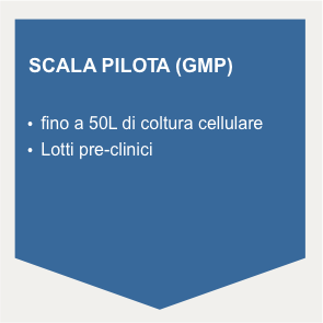 scala pilota