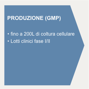 produzione