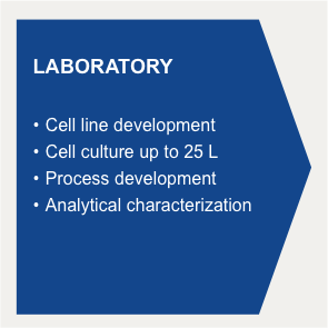 laboratorio