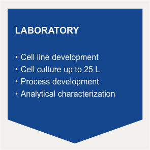 laboratorio